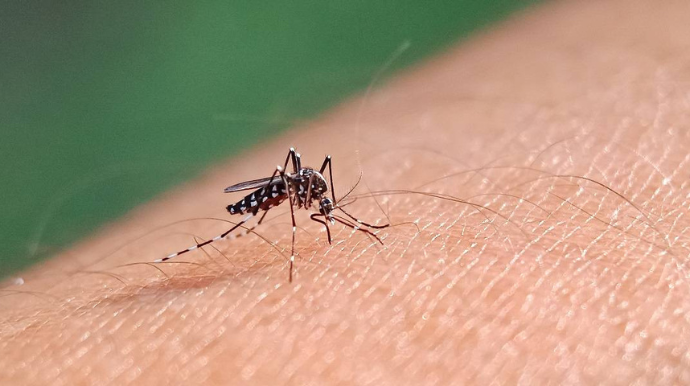 Tupã registra mais uma morte suspeita de dengue em 2024
