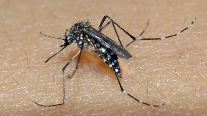 Tupã registra mais uma morte suspeita de Dengue em 2024
